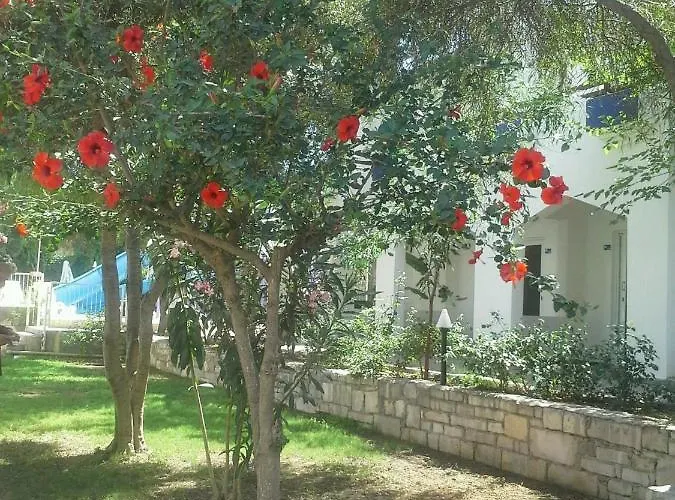 فندق Tenda بودروم